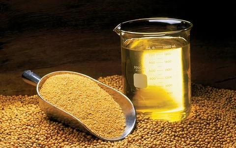 قیمت خرید روغن مخصوص خوراک دام و طیور (گالن و فله ای)
